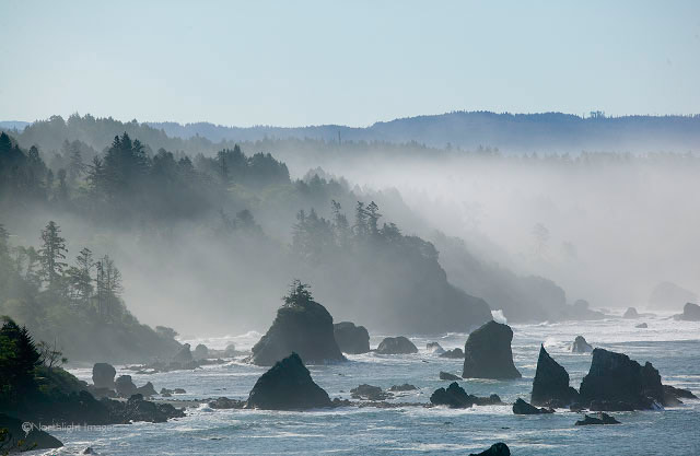 ca-northern-misty-rocks