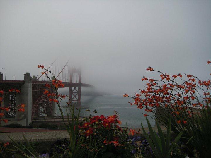 vivian-lowe-golden-gate-bridge