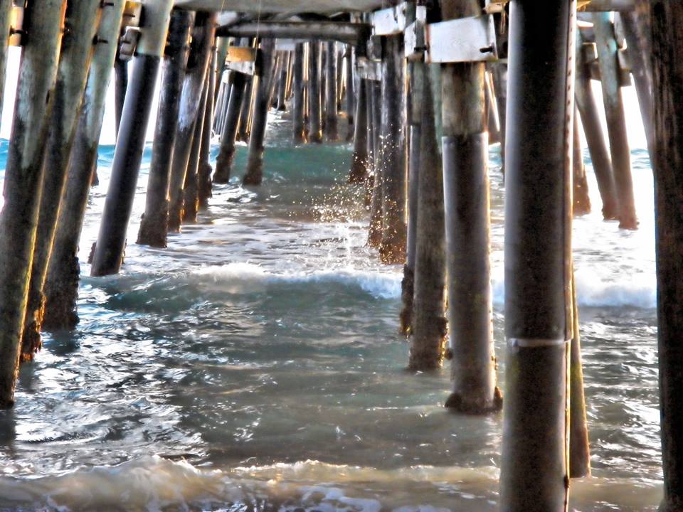 vivian-lowe-pier-pilings